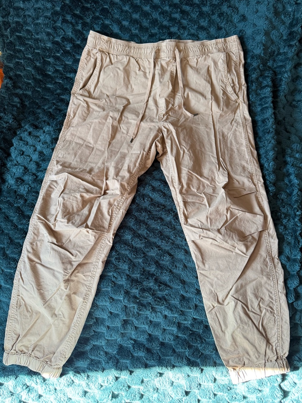 American Eagle Outfitters Light Beige Drawstring Jogger Pants